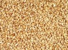 Sesame Seeds (Whitish) - WOLLEGA (Selit)